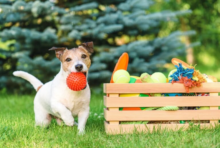 How Dogs & Cats Impact Our Mental Health