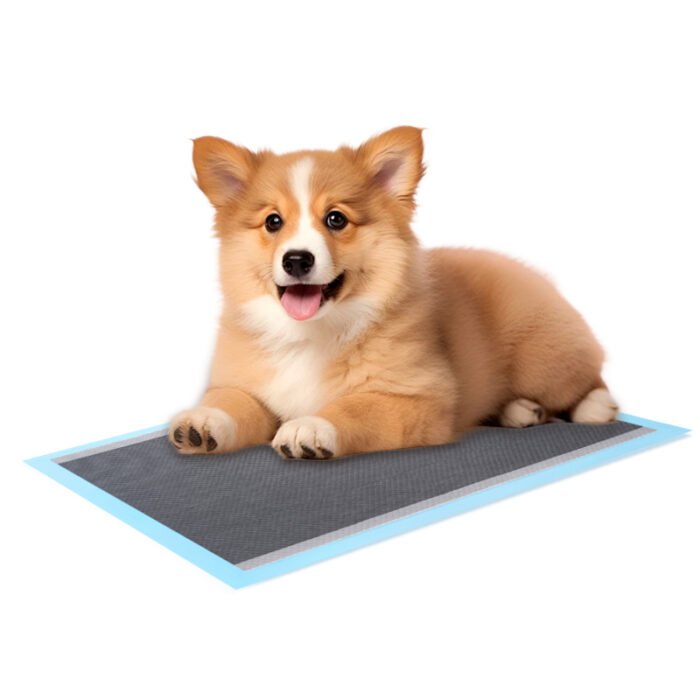 Adsorption water-locking activated carbon dog toilet mat